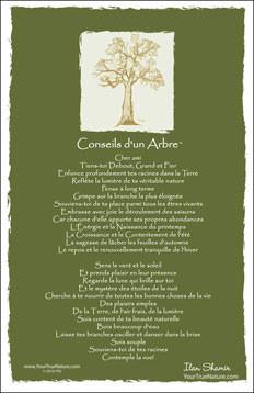 Advice from a Tree - Translated in French - Frameable Art Postcard