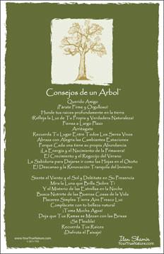 Advice from a Tree - Translated in Spanish - Frameable Art Postcard