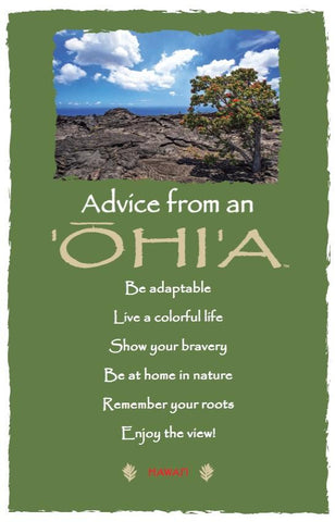 Advice from an 'Ohi'a- Hawai'i- Frameable Art Postcard