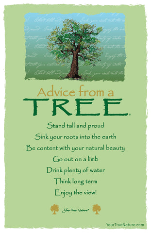 Advice from a Tree - 7 line poem Frameable Art Postcard