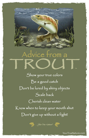 Advice from a Trout Frameable Art Postcard