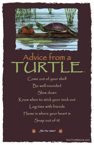 Advice from a Turtle Frameable Art Postcard