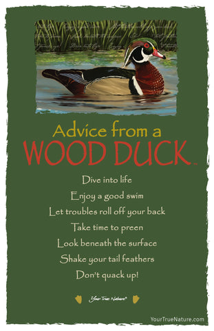 Advice from a Wood Duck Frameable Art Postcard