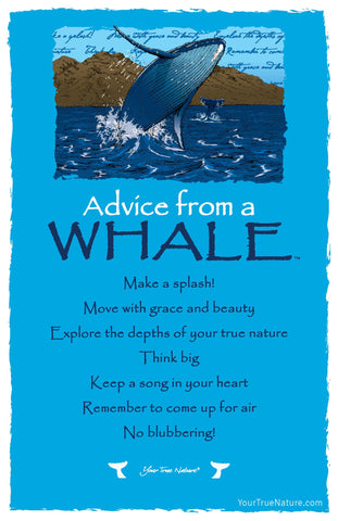 Advice from a Whale Frameable Art Postcard