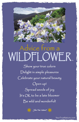 Advice from a Wildflower -  Columbine Frameable Art Postcard