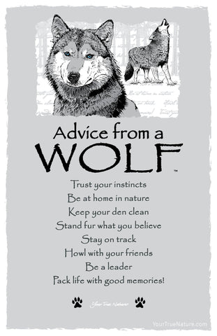 Advice from a Wolf Frameable Art Postcard