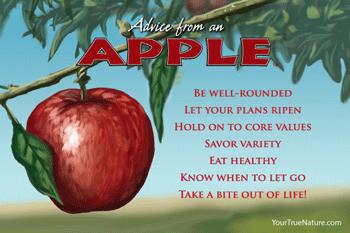 Advice from an Apple - 4x6 Postcard