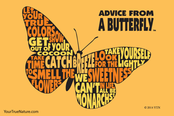 Advice from a Butterfly - 4x6 Postcard
