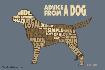 Advice from a Dog - 4x6 Postcard