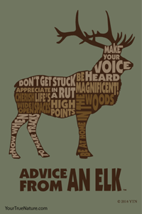 Advice from an Elk - 4x6 Postcard