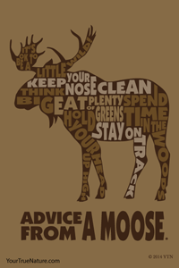Advice from a Moose - 4x6 Postcard