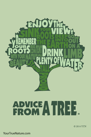 Advice from a Tree - 4x6 Postcard