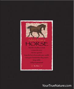 Advice from a Horse Matted Print