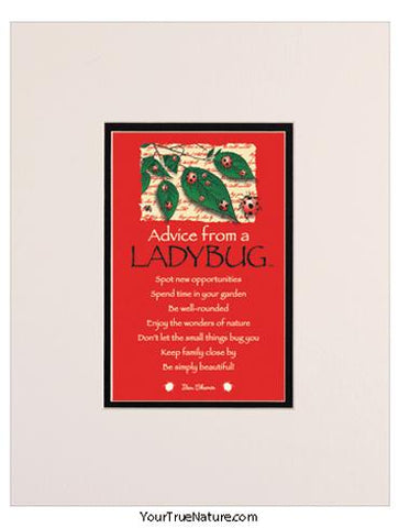 Advice from a Ladybug Matted Print