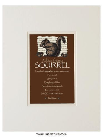 Advice from a Squirrel Matted Print