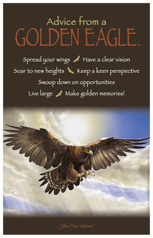 Advice from a Golden Eagle Frameable Art Poster 11x17