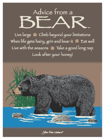 Advice from a Bear Frameable Art Poster 9x12