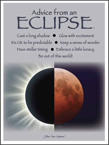 Advice from an Eclipse Frameable Art Poster 9x12