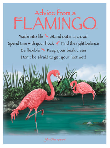 Advice from a Flamingo Frameable Art Poster 9x12