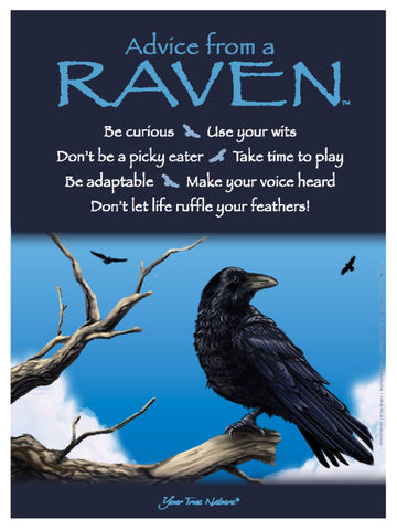 Advice from a Raven Frameable Art Poster 9x12
