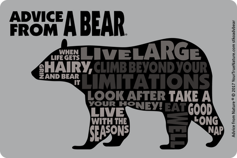 Advice from a Bear - Outline Sticker