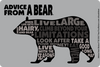 Advice from a Bear - Outline Sticker