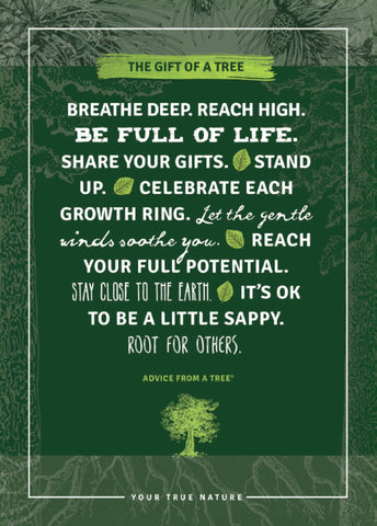 All Occasion Tree Planting Card
