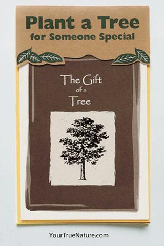 All Occasion Grove Tree Planting Card