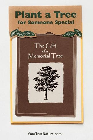 Memorial Tree Planting Card
