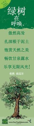 Advice from a Tree - Translated in Chinese - Laminated Bookmark
