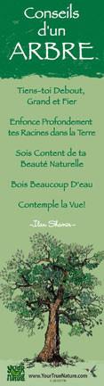 Advice from a Tree - Translated in French - Laminated Bookmark