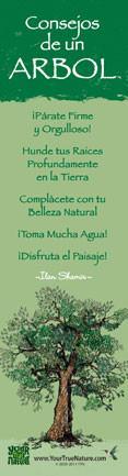 Advice from a Tree - Translated in Spanish - Laminated Bookmark