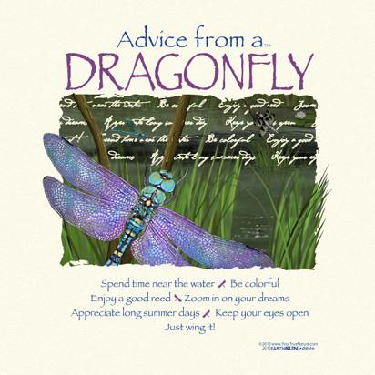 Advice from a Dragonfly T-Shirt