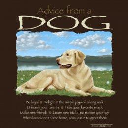 Advice from a Dog T-Shirt