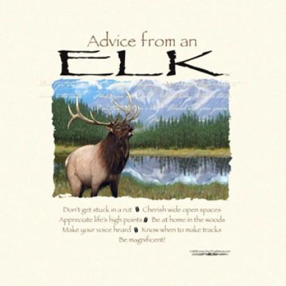 Advice from an Elk T-Shirt