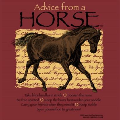 Advice from a Horse T-Shirt