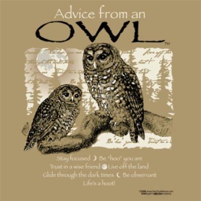 Advice from an Owl T-Shirt
