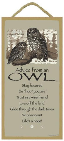 Advice from an Owl Hanging Wood Sign