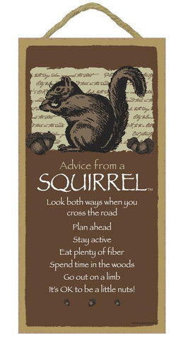 Advice from a Squirrel Hanging Wood Sign