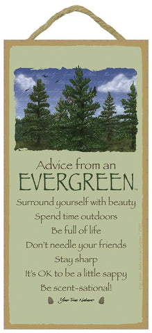 Advice from an Evergreen Hanging Wood Sign