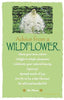 Advice from a Wildflower - Glacier National Park - Frameable Art Postcard